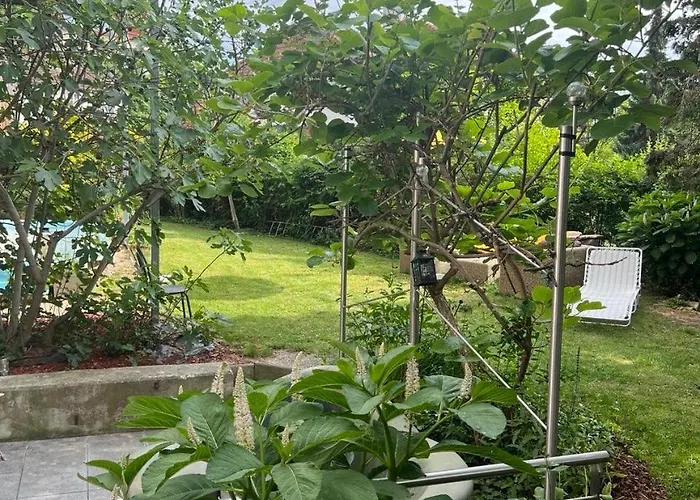 Apartman With Garden Krems